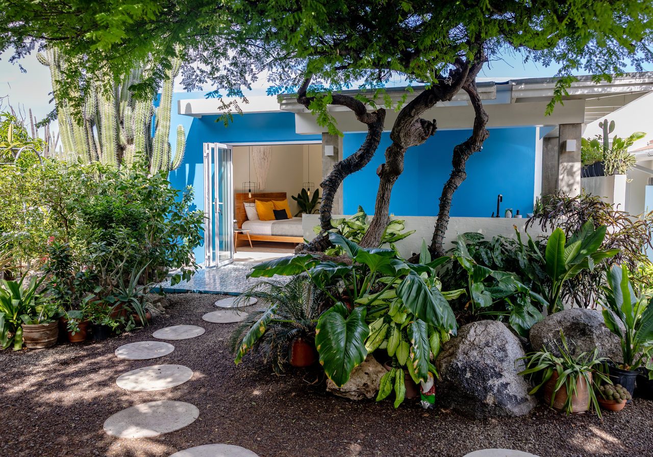 Naïma Luxury Cottage in its garden